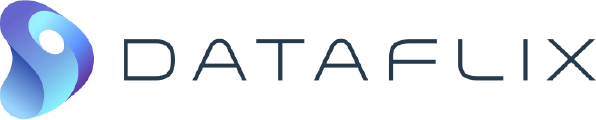 Dataflix / Development & optimization logo